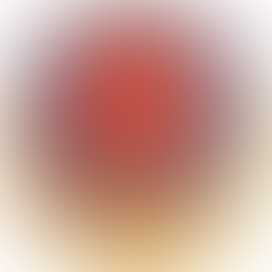 1707099790338666.jpg